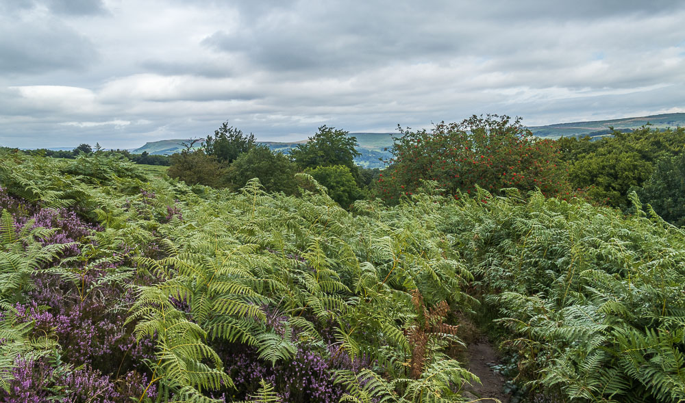 Eyam Moor Eyam Moor